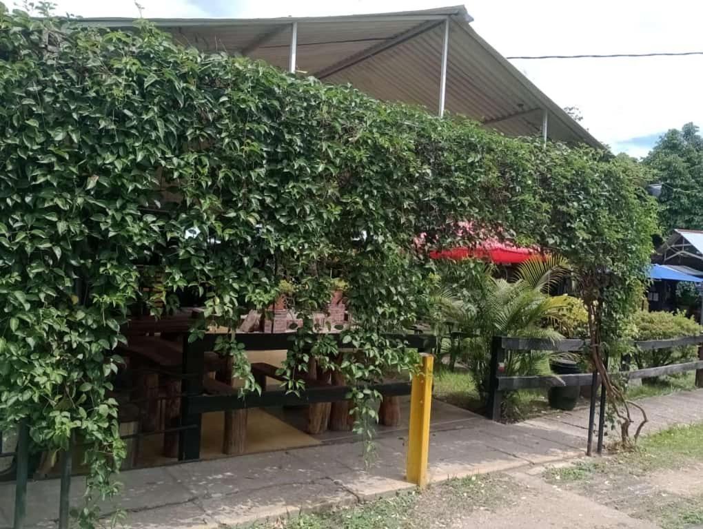 Loma Linda Hotel De Naturaleza Ла-Меса Экстерьер фото